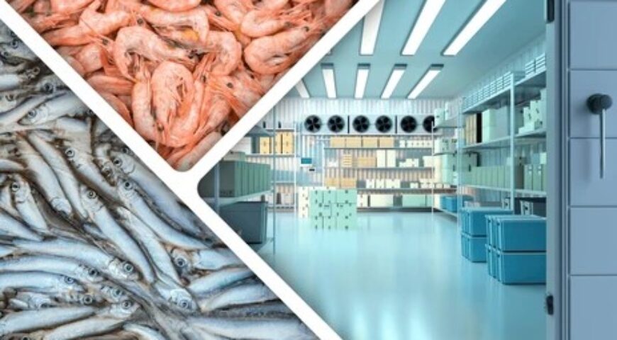 Seafood Refrigeration Solutions